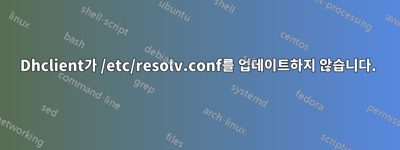 Dhclient가 /etc/resolv.conf를 업데이트하지 않습니다.