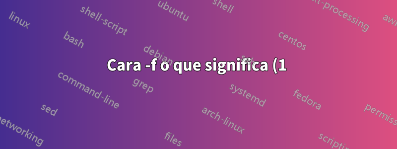 Cara -f o que significa (1)?