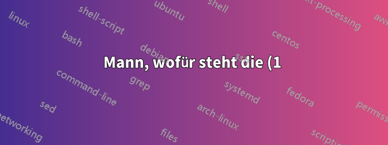 Mann, wofür steht die (1)?