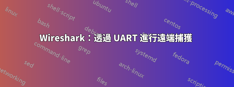 Wireshark：透過 UART 進行遠端捕獲