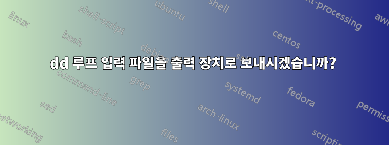 dd 루프 입력 파일을 출력 장치로 보내시겠습니까?