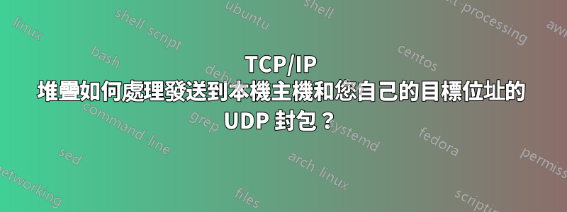 TCP/IP 堆疊如何處理發送到本機主機和您自己的目標位址的 UDP 封包？