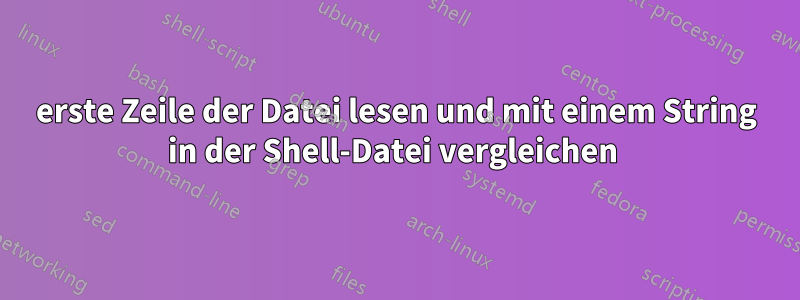 erste Zeile der Datei lesen und mit einem String in der Shell-Datei vergleichen 