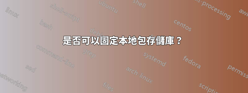 是否可以固定本地包存儲庫？