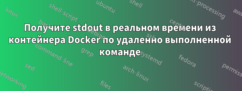 Получите stdout в реальном времени из контейнера Docker по удаленно выполненной команде