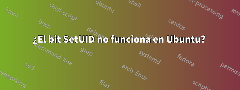 ¿El bit SetUID no funciona en Ubuntu?