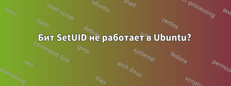 Бит SetUID не работает в Ubuntu?