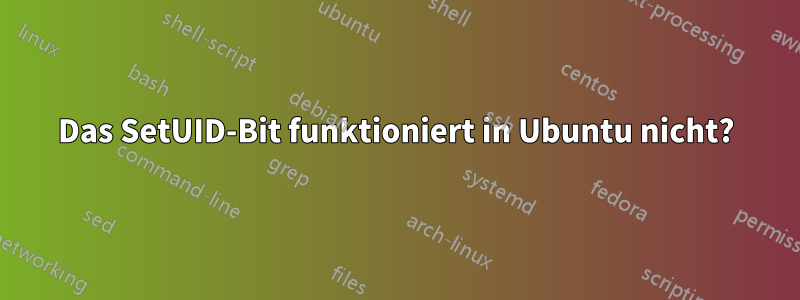 Das SetUID-Bit funktioniert in Ubuntu nicht?