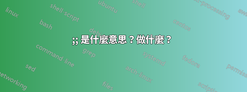 ;; 是什麼意思？做什麼？