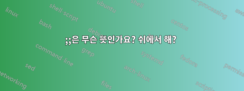 ;;은 무슨 뜻인가요? 쉬에서 해?