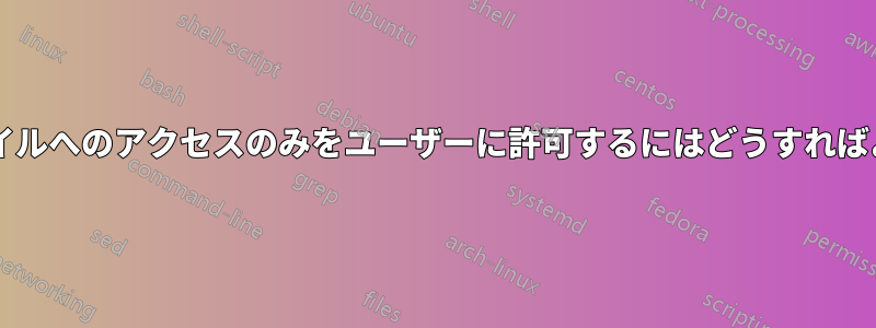 特定のファイルへのアクセスのみをユーザーに許可するにはどうすればよいですか?