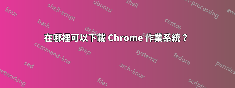 在哪裡可以下載 Chrome 作業系統?