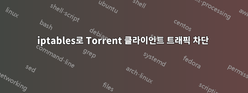 iptables로 Torrent 클라이언트 트래픽 차단