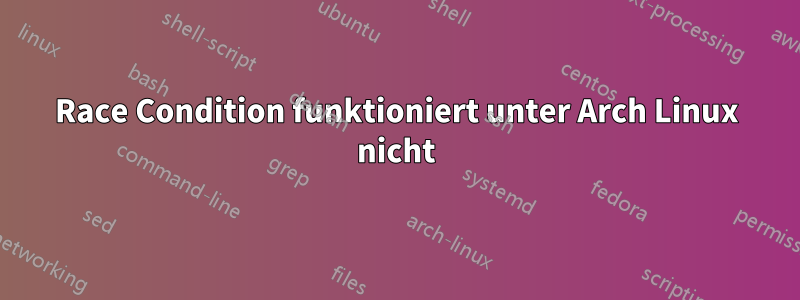 Race Condition funktioniert unter Arch Linux nicht