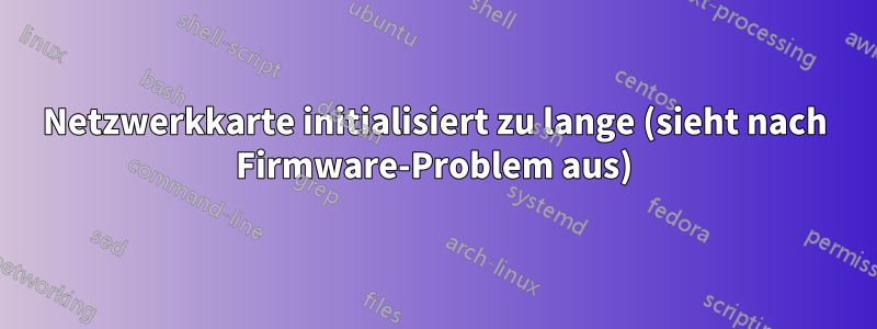 Netzwerkkarte initialisiert zu lange (sieht nach Firmware-Problem aus)