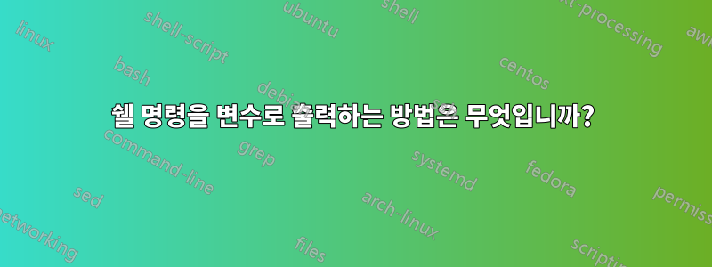 쉘 명령을 변수로 출력하는 방법은 무엇입니까?