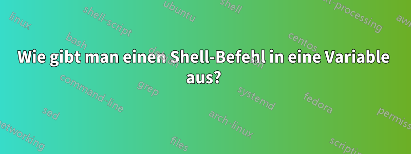 Wie gibt man einen Shell-Befehl in eine Variable aus?