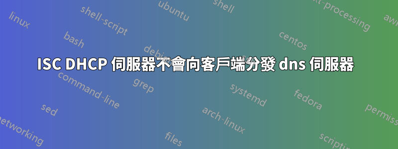 ISC DHCP 伺服器不會向客戶端分發 dns 伺服器 