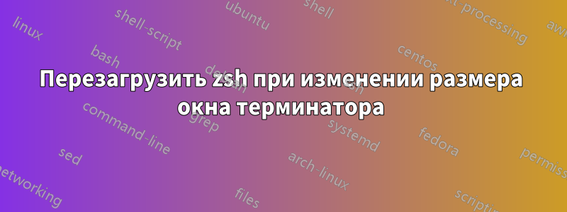 Перезагрузить zsh при изменении размера окна терминатора