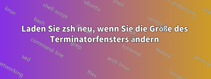 Laden Sie zsh neu, wenn Sie die Größe des Terminatorfensters ändern