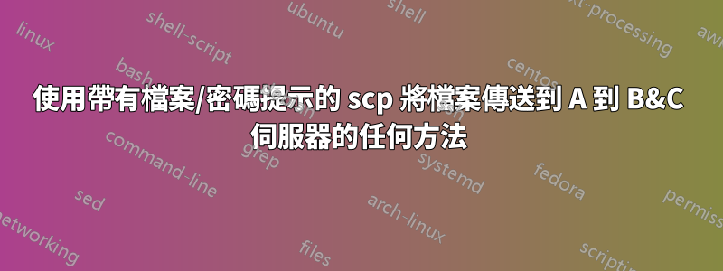 使用帶有檔案/密碼提示的 scp 將檔案傳送到 A 到 B&C 伺服器的任何方法