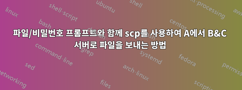 파일/비밀번호 프롬프트와 함께 scp를 사용하여 A에서 B&C 서버로 파일을 보내는 방법