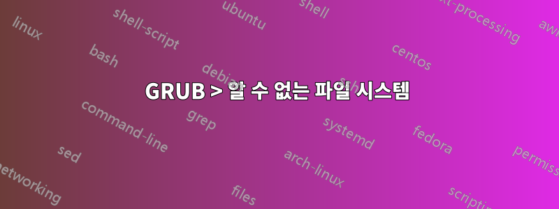 GRUB > 알 수 없는 파일 시스템