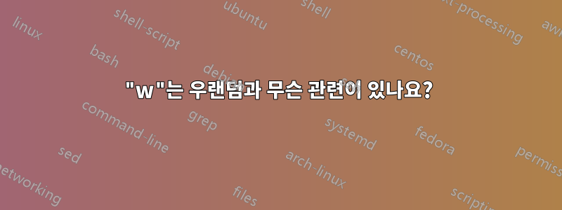 "w"는 우랜덤과 무슨 관련이 있나요?