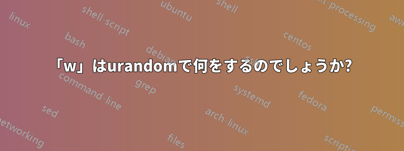 「w」はurandomで何をするのでしょうか?