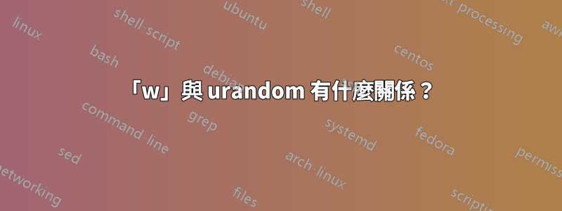 「w」與 urandom 有什麼關係？