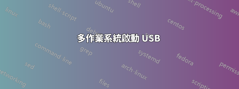 多作業系統啟動 USB