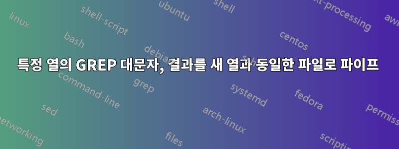 특정 열의 GREP 대문자, 결과를 새 열과 동일한 파일로 파이프