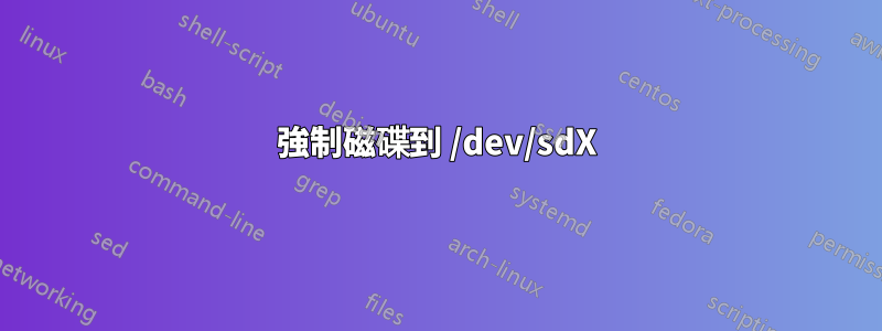 強制磁碟到 /dev/sdX