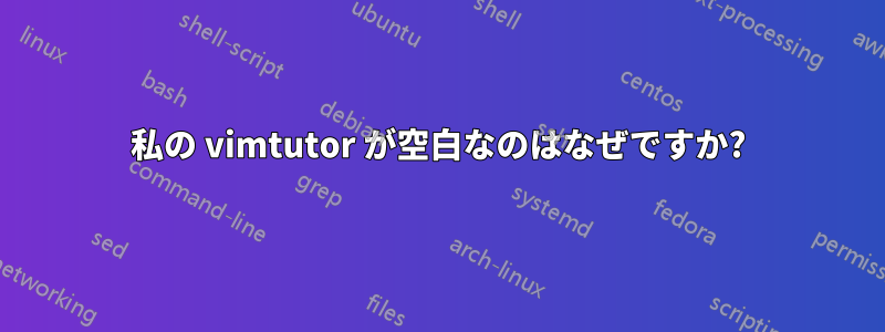 私の vimtutor が空白なのはなぜですか?