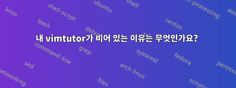 내 vimtutor가 비어 있는 이유는 무엇인가요?