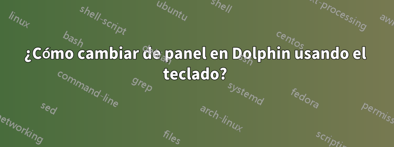 ¿Cómo cambiar de panel en Dolphin usando el teclado?