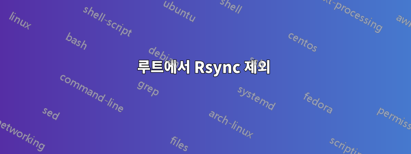 루트에서 Rsync 제외