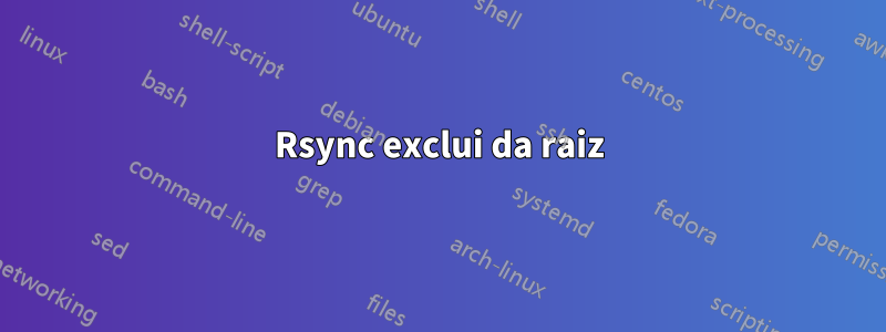 Rsync exclui da raiz