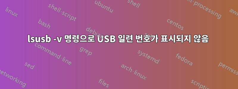 lsusb -v 명령으로 USB 일련 번호가 표시되지 않음
