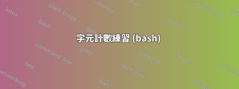 字元計數練習 (bash)