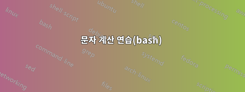 문자 계산 연습(bash)
