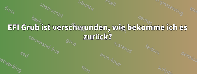EFI Grub ist verschwunden, wie bekomme ich es zurück?