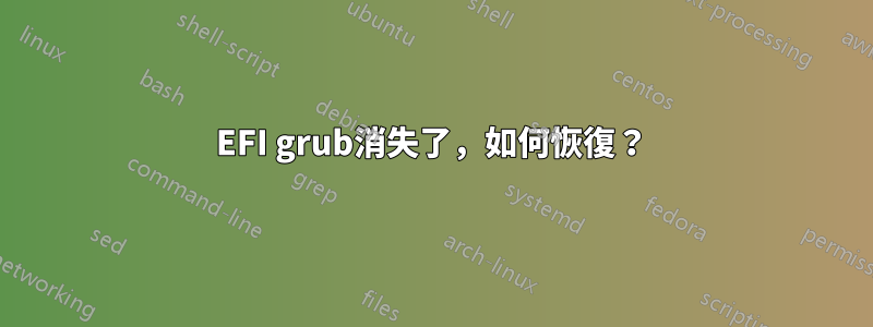 EFI grub消失了，如何恢復？