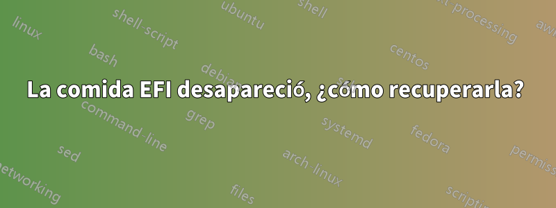 La comida EFI desapareció, ¿cómo recuperarla?