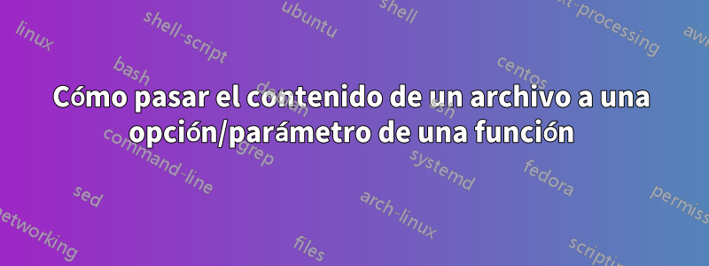 Cómo pasar el contenido de un archivo a una opción/parámetro de una función