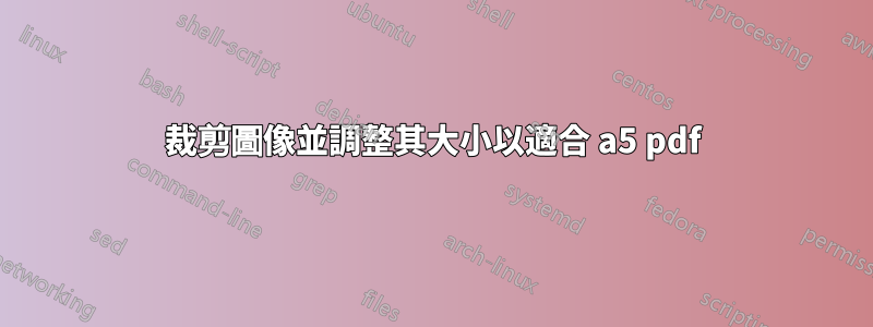 裁剪圖像並調整其大小以適合 a5 pdf