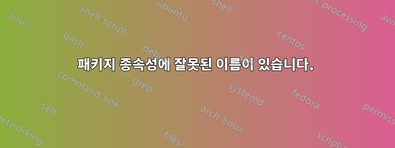 패키지 종속성에 잘못된 이름이 있습니다.