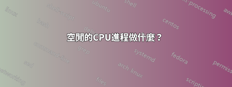 空閒的CPU進程做什麼？