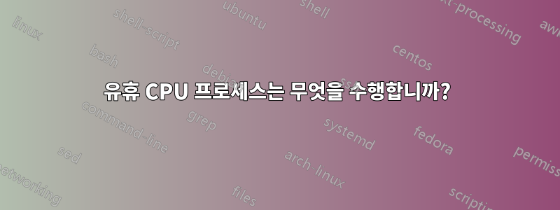 유휴 CPU 프로세스는 무엇을 수행합니까?