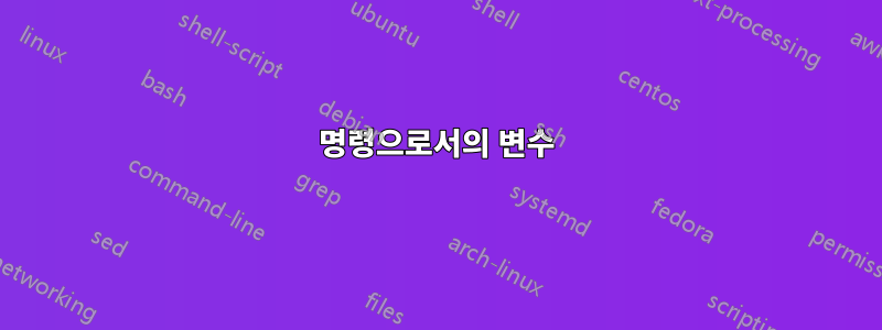 명령으로서의 변수
